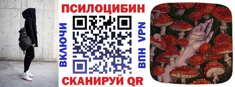 Псилоцибиновые грибы Psilocybe  как найти закладки  Адыгейск 